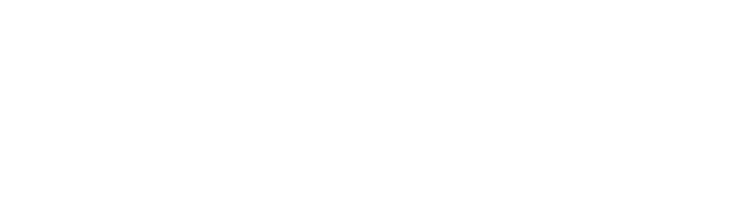 pitchora logo